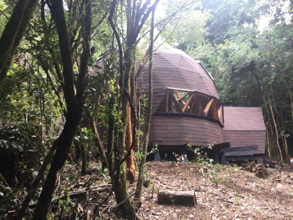 Domos Hijos Del Bosque Apartment กอญญารีเป ภายนอก รูปภาพ